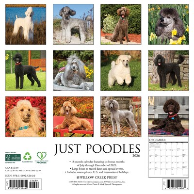 2026 Willow Creek Poodles 12 x 12 Monthly Wall Calendar (52440)