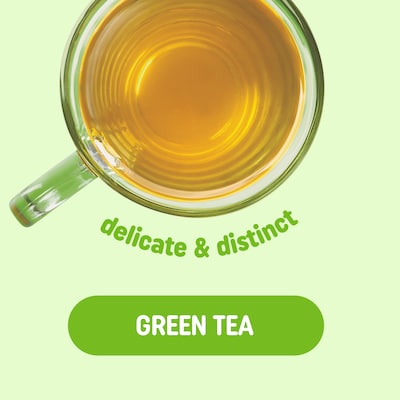 Pick Me Up Provisions™ Green Tea Bags, 100/Box (PM63313)
