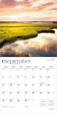 2026 BrownTrout Jersey Shore 12" x 12" Monthly Wall Calendar (9798330704019)