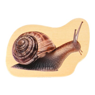 TickiT Wooden Minibeast Blocks, Multicolored, 15/Set (CTU73568)