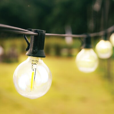 Newhouse Lighting Globe Party LED String Lights, 50 ft., Black (PSTRINGLED50)