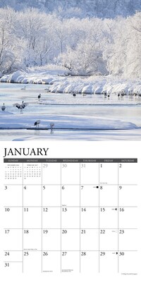 2027 Willow Creek Seasons 12" x 12" Monthly Wall Calendar, Assorted Colors (62258)
