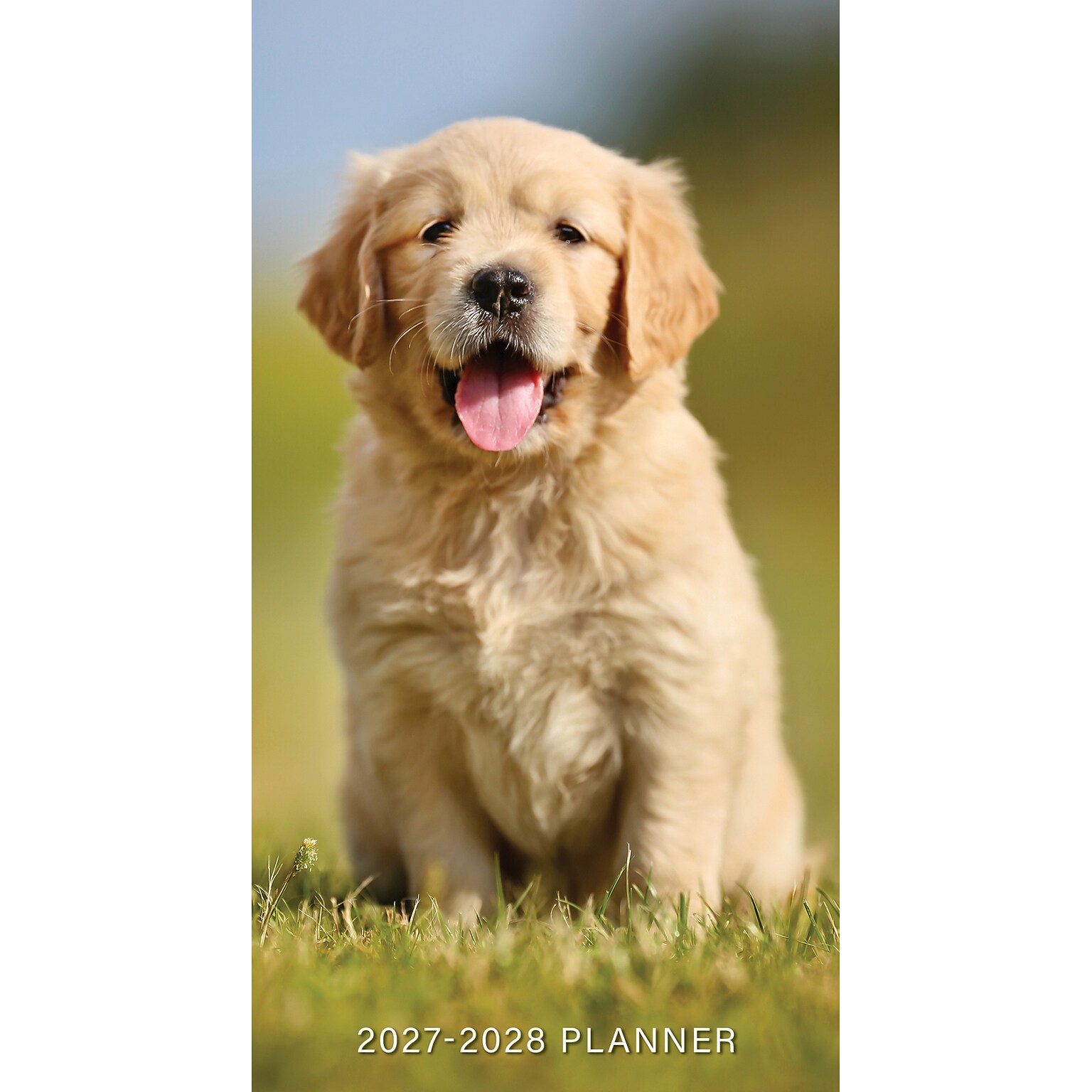 2026-2028 Willow Creek Puppies 3.5 x 6.5 Monthly Pocket/Wallet Calendar, Assorted Colors (66072)