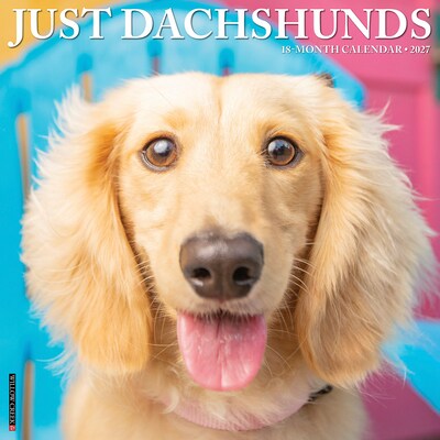 2027 Willow Creek Dachshunds  12 x 12 Monthly Wall Calendar (59968)