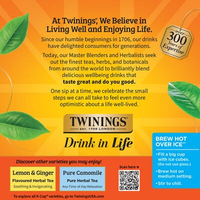 Twinings Pure Rooibos Red Herbal Tea, Keurig® K-Cup® Pods, 24/Box (TNA85791)