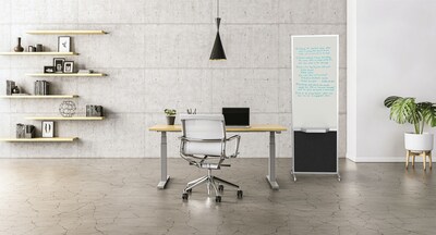 Versare ShieldWrite Level 3 Double Sided Magnetic Painted Steel Mobile Whiteboard Easel, 2 x 6, Charcoal Gray (1100005)