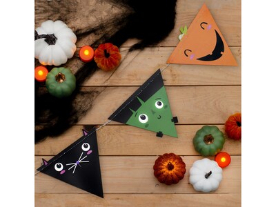 Pukka Party Halloween Pennant Bunting, Multicolor (PTY539)