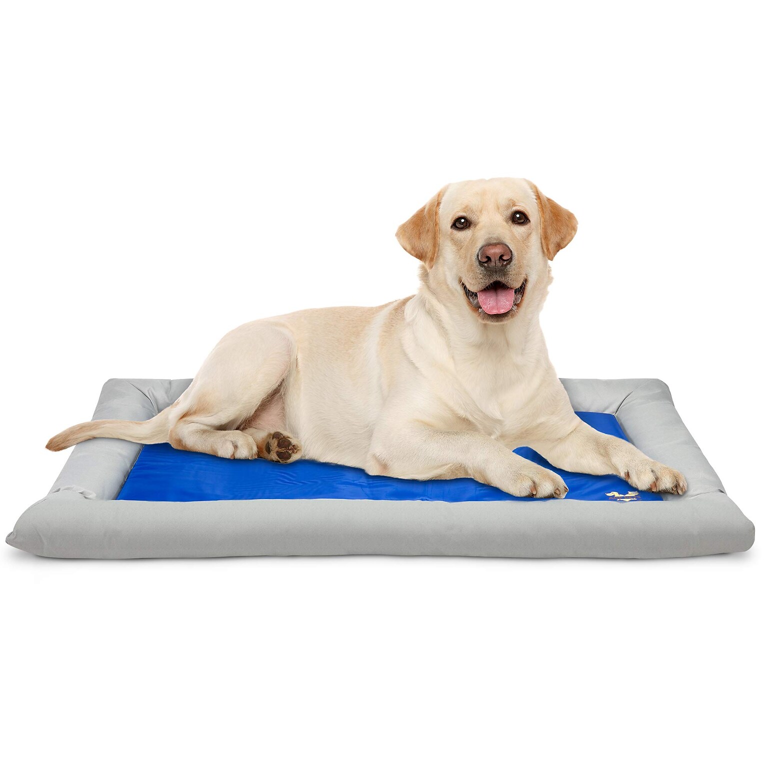 Arf Pets Solid Gel Based Pet Cooling Mat w/ Foam Based Bolster Bed, 26 x 40, Grey/Blue (APCLBL)