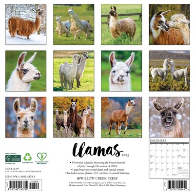 2025 Willow Creek Llamas 12" x 12" Monthly Wall Calendar (43790)