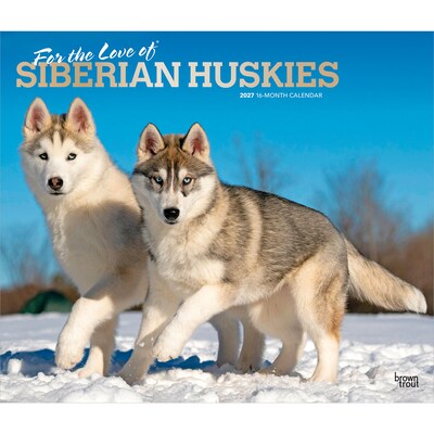 2027 BrownTrout For the Love of Siberian Huskies 14 x 12 Monthly Wall Calendar, Assorted Colors (9798330709274)