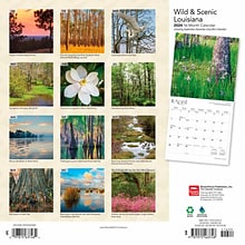 2024 BrownTrout Louisiana Wild & Scenic 12 x 24 Monthly Wall Calendar (9781975463748)