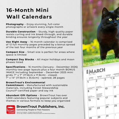2026 BrownTrout Black Cats 7" x 7" Monthly Wall Calendar (9798330702473)