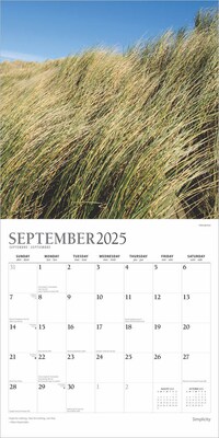 2025 Plato Simplicity 12" x 24" Monthly Square Wall Calendar (9781975478810)
