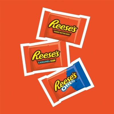 Reese's Snack Size Assorted Flavored Peanut Butter Cups Candy Party Pack, 23.1 oz. (34000464630)