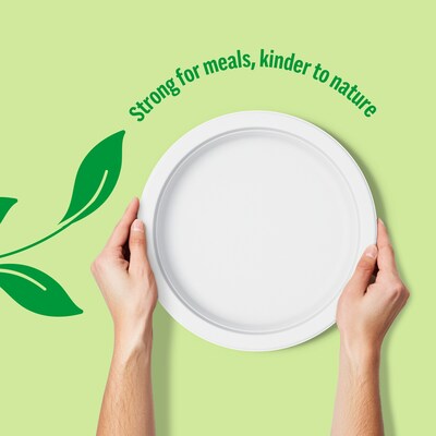 Perk™ Eco Compostable Paper Plates, 9", White, 250/Pack (PK61287)