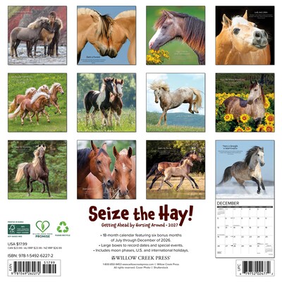 2027 Willow Creek Seize the Hay! 12 x 12 Monthly Wall Calendar, Assorted Colors (62272)