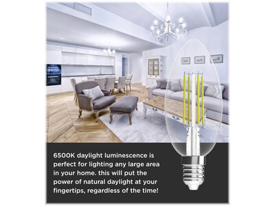 Viribright 2.5-Watt Daylight LED Specialty Bulb, 12/Pack (650194)