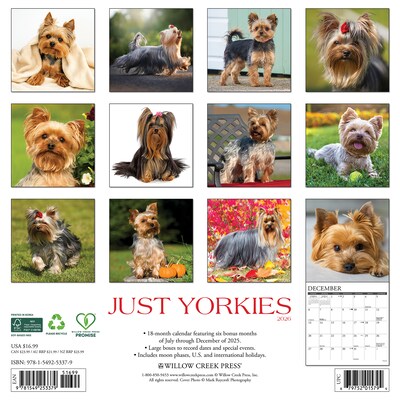 2026 Willow Creek Yorkies 12 x 12 Monthly Wall Calendar (53379)