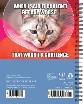 2027 Willow Creek Cat-astrophe 6.5 x 8.5 Weekly & Monthly Desk Calendar (64351)