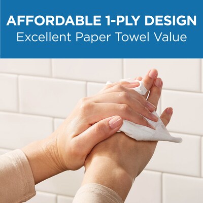 Pacific Blue Basic C-Fold Paper Towels, 1-ply, 240 Sheets/Pack, 10 Packs/Carton (20603)