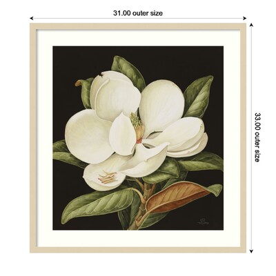 Amanti Art Magnolia Grandiflora 2003 by Jenny Barron Wood Framed Wall Art Print, 31" x 33" (A42675530231)