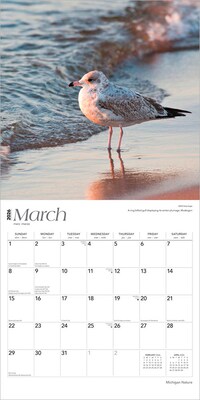 2026 BrownTrout Michigan Nature 12" x 12" Monthly Wall Calendar (9798330704583)