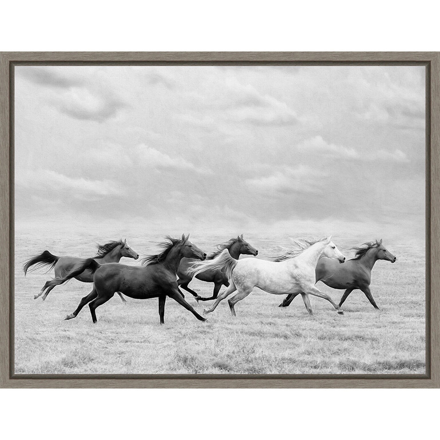 Amanti Art Horse Run I by PHBurchett Framed Canvas Wall Art Print, 24 x 18 (A42675322595)