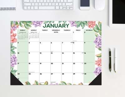 2027 Willow Creek Succulents 17" x 12" Monthly Desk Pad Calendar, Assorted Colors (66522)