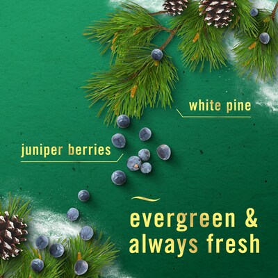 Febreze Air Mist Aerosol Air Freshener, White Pine & Juniper Berry Scent, 8.8 oz., 2/Pack (03208)