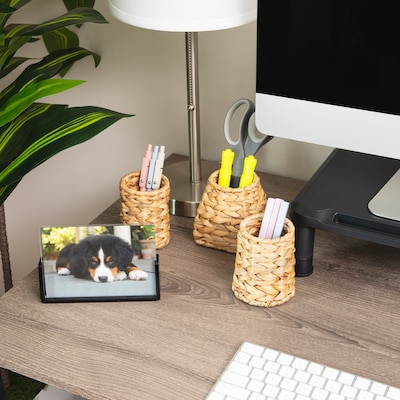 Mind Reader Pen Holder, Brown, 3/Set (PENRAT3-BRN)