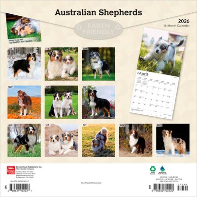 2026 BrownTrout Australian Shepherds 12 x 12 Monthly Wall Calendar (9798330702220)