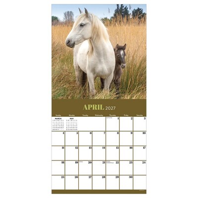 2027 TF Publishing Horses 12" x 12" Monthly Wall Calendar (27-1012)
