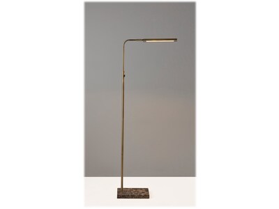 Adesso Reader 54.25" Antique Brass Floor Lamp with Rectangular Shade (3558-21)