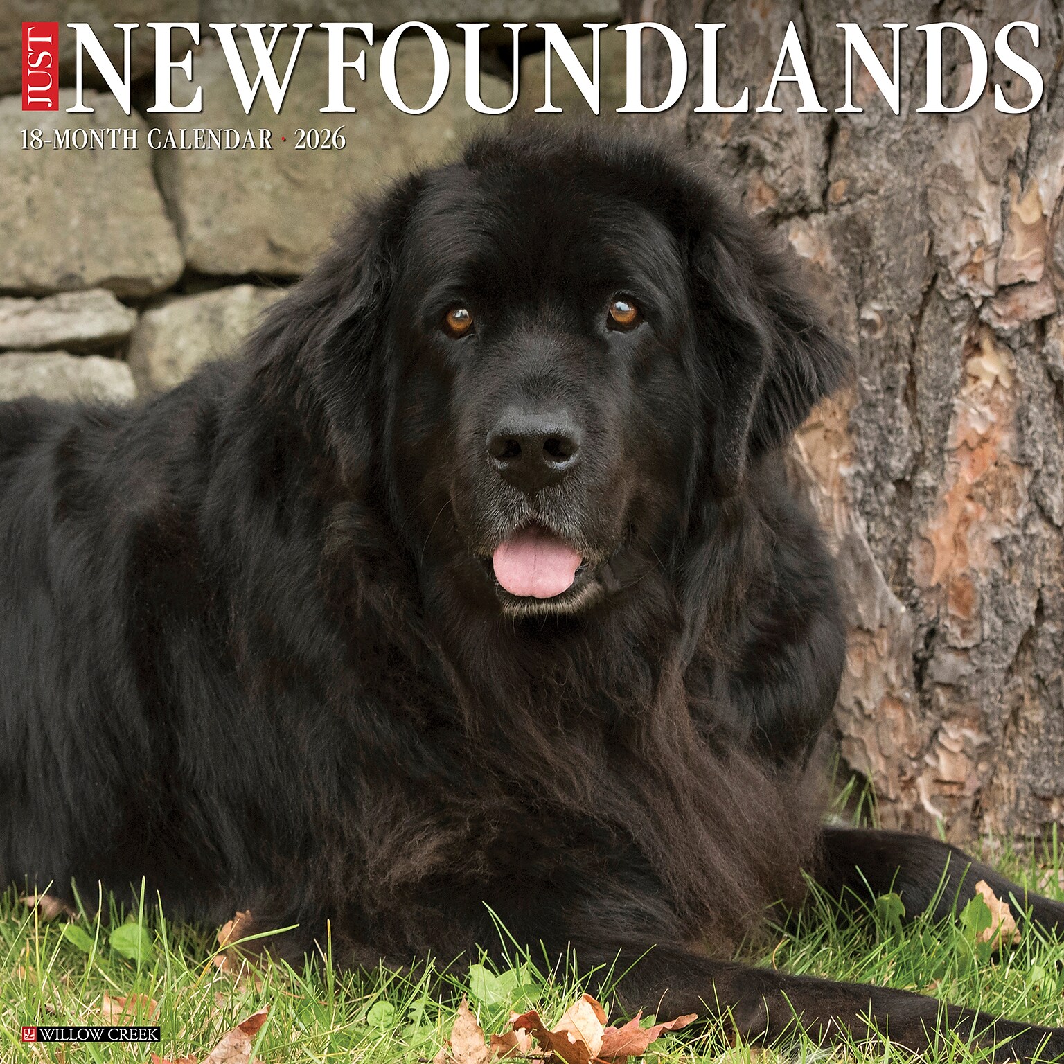 2026 Willow Creek Newfoundlands 12 x 12 Monthly Wall Calendar (52174)