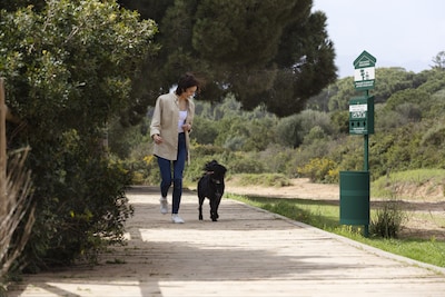 Furloo Steel Outdoor Pet Waste Station Kit with Roll Bag Dispenser, 11.5 Gallon, Green (FLO1R-S-G)