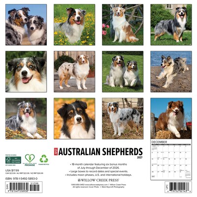 2027 Willow Creek 12 x 12 Monthly Wall Calendar, Assorted Colors (58930)