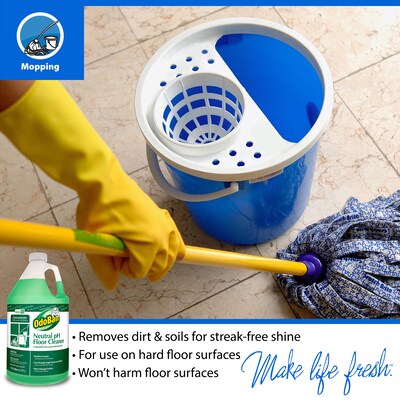 OdoBan Professional Floor Cleaner, Citrus Scent, 1 Gallon (936162-G4)