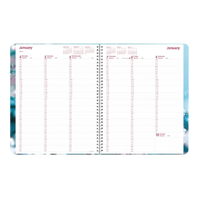 2027 Brownline Nature Cherry Blossoms 8.5" x 11" Weekly Appointment Book (CB950G.03-27)