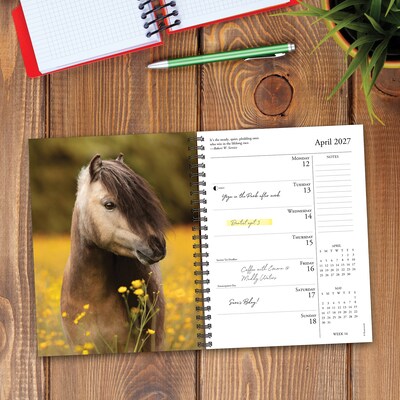 2027 Willow Creek What Horses Teach Us 6.5" x 8.5" Weekly & Monthly Desk Calendar (64474)