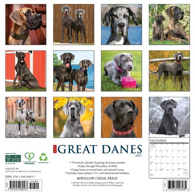 2027 Willow Creek Great Danes 12 x 12 Monthly Wall Calendar (60537)