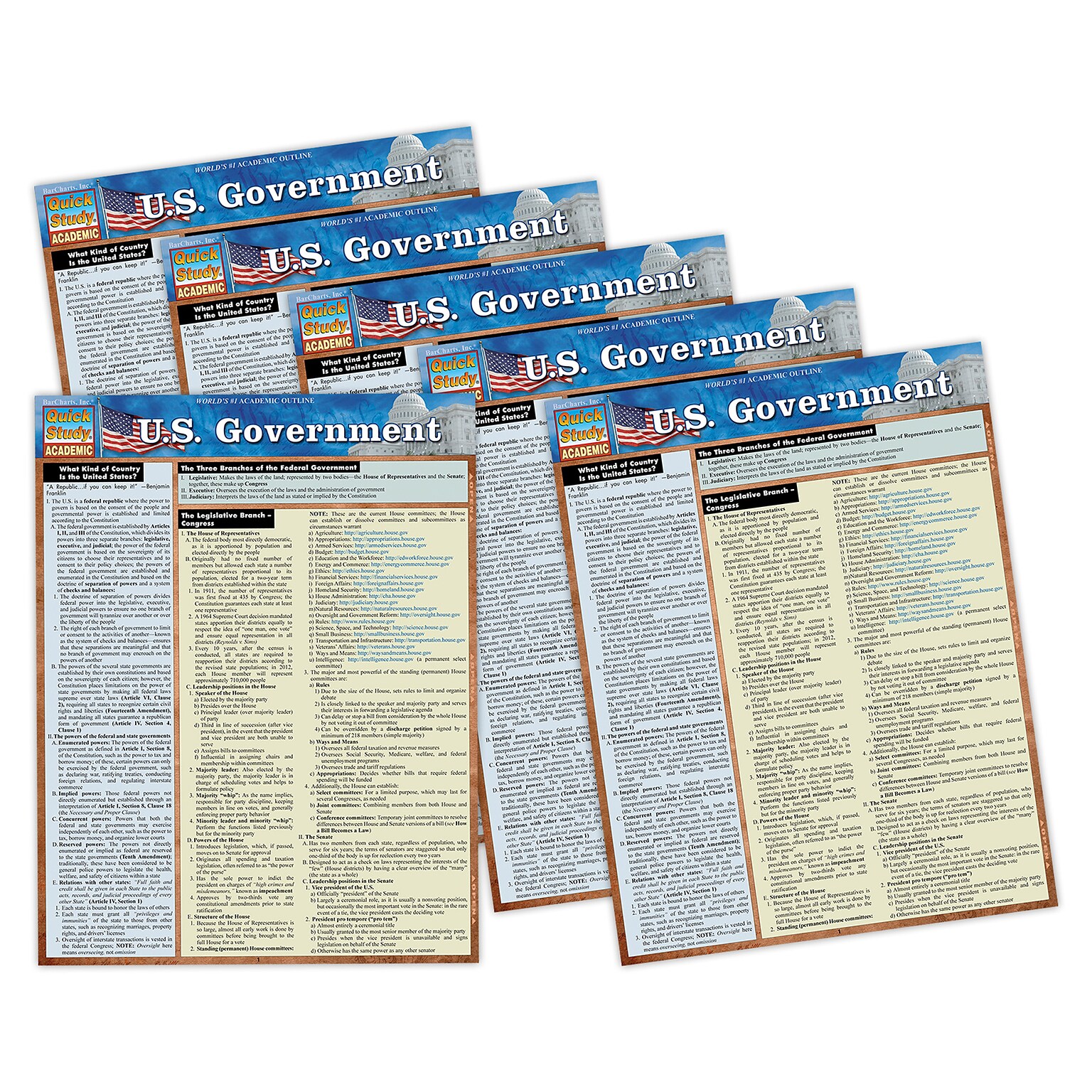 QuickStudy Laminated Study Guide, U.S. Government, 6/Pack(QS-9781423251224)