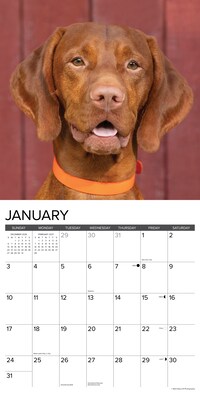 2027 Willow Creek 12" x 12" Monthly Wall Calendar, Assorted Colors (62807)