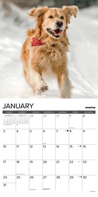 2027 Willow Creek 12 Uses for a Golden 12" x 12" Monthly Wall Calendar, Assorted Colors (58589)