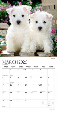 2026 Plato Puppy Pals 12" x 12" Monthly Wall Calendar (9798330706839)