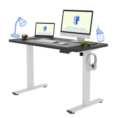 FlexiSpot E2 48W Electric Adjustable Standing Desk, Black/White (E2W4824B)