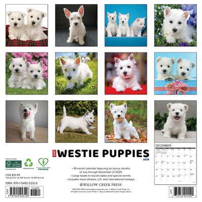 2026 Willow Creek Westie Puppies 12 x 12 Monthly Wall Calendar (53126)