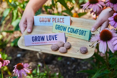 Modern Sprout Bright Side Seed Balls - Grow Comfort
