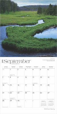2025 BrownTrout Wyoming Wild & Scenic 12" x 12" Monthly  Wall Calendar (9781975475987)