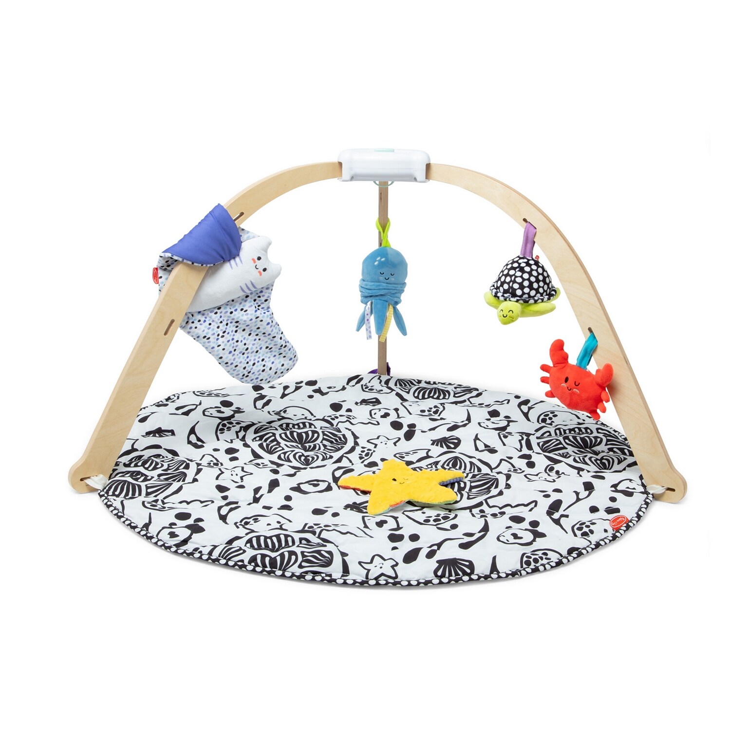 Melissa & Doug Ocean Easy-Fold Play Gym (30759)