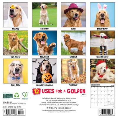 2025 Willow Creek 12 Uses for a Golden 12 x 12 Monthly Wall Calendar, Multicolor (41178)